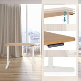 MID.YOU Dvižna Miza Stand Basic, Bela, Barva Hrasta | Shoptok.si