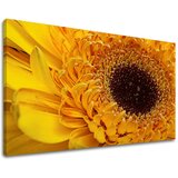  Slike na platnu cveće (moderne slike na platnu) | ePonuda.com