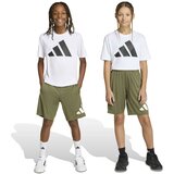 Adidas Športne hlače 'TR-ES' oliva / bela | Shoptok.si
