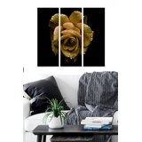 Wallity Set slika MDF655359, 3 dijela | Eponuda.ba