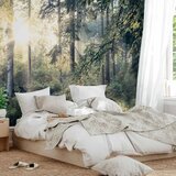  Foto tapeta - Tales of a Forest 400x280 Standard | shoptok.hr