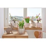 Modern Living Umetna Rastlina Kirschblütenbonsai I | Shoptok.si