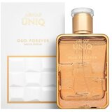 Armaf Uniq Oud Forever parfumirana voda unisex 100 ml | Shoptok.si