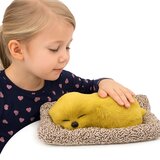 Lean Toys Usnulo štene labradora na figurici jastuka s krznom i prozirnom vrećicom | shoptok.hr
