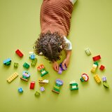 Lego Kreativna bašta i cveće ( 10444 )
