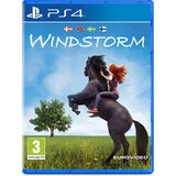 Windstorm (PS4) - rabljeno | Shoptok.si