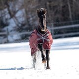 Busse Zunanje pregrinjalo FLEXIBLE PRO 250, bordeaux (grey) - 165 cm | Shoptok.si