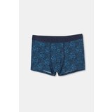 Dagi Boxer Shorts - Blue - Single pack Cene