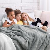 AmeliaHome Deka Shleepy 220x240 cm, siva | shoptok.hr
