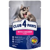 CLUB 4 PAWS Premium vlažna hrana za štence, Piletina u želeu, 100 g Cene