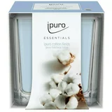 IPURO Dišeča sveča Ipuro ESSENTIALS Cotton Fileds (125 g)