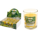  Svijeća Citronela u čaši Cijene