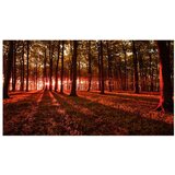  Samoljepljiva foto tapeta - Autumn Morning II 490x280 | shoptok.hr