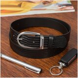 Beltimore krad8980 sarena | shoptok.hr