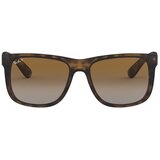 Ray-ban Muške Sunčane naočale Ray Ban RB4165 P Brown | shoptok.hr