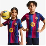 Nike Fcb y nk df jsy ss stad hm Cene