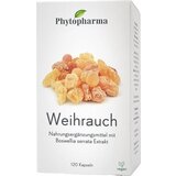 Phytopharma Kadilo Cene