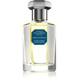Lorenzo Villoresi Mare Nostrum Aura Maris toaletna voda uniseks 50 ml | Shoptok.si