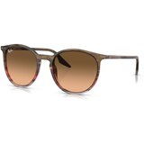 Ray-ban Sončna očala 0RB2204 Striped Brown Gradient Red 13953B Cene