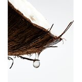 Loewe Paula’s Ibiza toaletna voda uniseks 100 ml | Shoptok.si