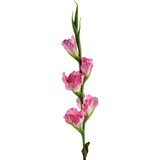 Mondex Umetni cvet guma Viridis Gladiola 85cm roza 1kos, (5000301153) Cene