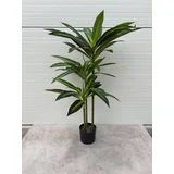Veštačka biljka Brazilian Wood, 110 cm, Zelena