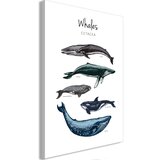  Slika - Whales (1 Part) Vertical 40x60 Cijene