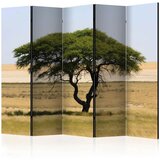  Paravan u 5 dijelova - Etosha National Park Namibia II [Room Dividers] 225x172 Cijene