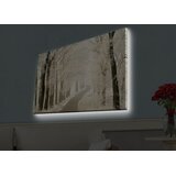 Wallity Zidna slika sa LED osvetljenjem 4570HDACT-057, 45x70 cm | Eponuda.ba
