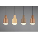 Trio Leuchten Visilica Agudo 4x E27 | shoptok.hr