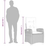  5-dijelni vrtni blagovaonski set od poliratana s jastucima sivi | shoptok.hr