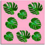 Pintdecor Zidni ukras Foglie di palma Pintdecor Zidni ukras Foglie di palma Slike