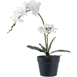 House Nordic Umjetna biljka (visina 47 cm) Orchid –