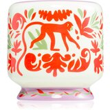 Paddywax A Dopo Jungle dišeča sveča 226 g | Shoptok.si