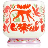 Paddywax A Dopo Jungle mirisna svijeća 226 g | shoptok.hr