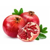  Nar | ePonuda.com