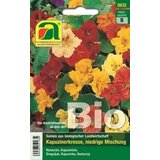 AUSTROSAAT Nizka kapucinka Cene