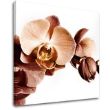  Slike na platnu cveće (moderne slike na platnu) | ePonuda.com