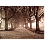  Tapeta - Park alley 400x309 | shoptok.hr