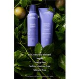 Aveda Blonde Revival™ Purple Toning Shampoo vijoličen toniran šampon za posvetljene lase ali lase s prameni 200 ml | Shoptok.si
