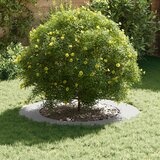  Pogodno za ravni drveni prsten Bijelo Ø60 / 90 cm Čelik | shoptok.hr