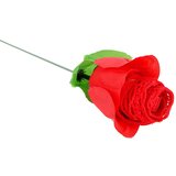 Out of the blue panty rose - tangice v roza barvi - rdeče (s-l) | Shoptok.si