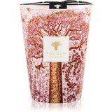 Baobab Collection Sacred Trees Woroba dišeča sveča 24 cm | Shoptok.si