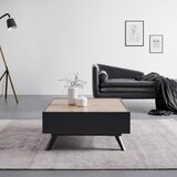 Bessagi Home sodobna klubska miza fosco, siva, hrast, železo, 2 predala | Shoptok.si