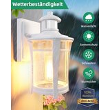 LAMOMO zunanja stenska svetilka s senzorjem gibanja | Shoptok.si
