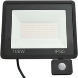 vidaXL LED reflektor sa senzorom 100 W hladni bijeli | shoptok.hr