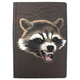 Half Moon Bay Marvel - Agenda - Rocket Cene