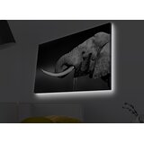 Opviq Slika na platnu sa LED osvetljenjem 45x70cm | Eponuda.ba