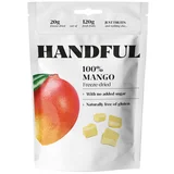 Liofilizovani mango 20g