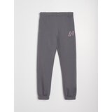 Sinsay Jogger hlače | shoptok.hr